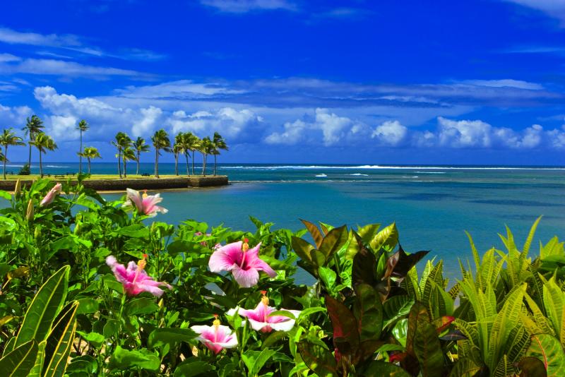 One of the beaches I will be going to! :]